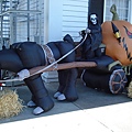DSC06590.JPG