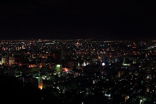 【133】岐阜縣岐阜市夜景2.jpg