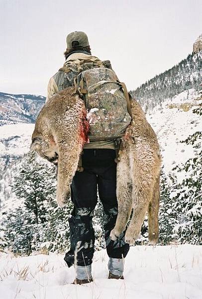 Corylion007.jpg Corylion007.jpg