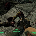 Fallout3_003.jpg