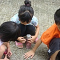 20110625永茂森林山莊 085.jpg