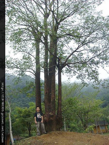 苗栗不遠山莊 029.jpg