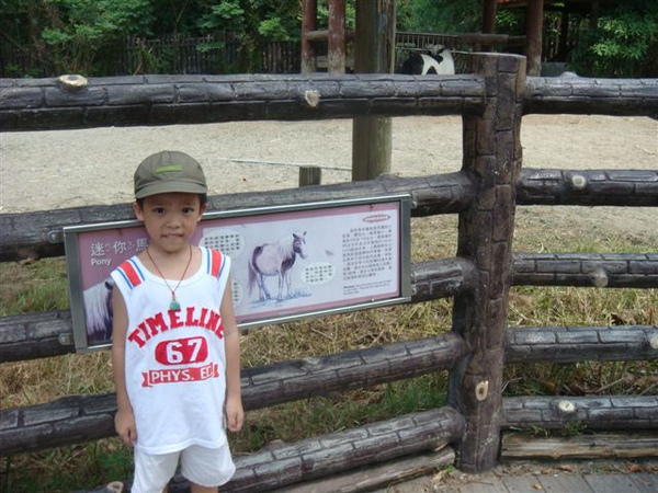 木柵動物園 002.jpg