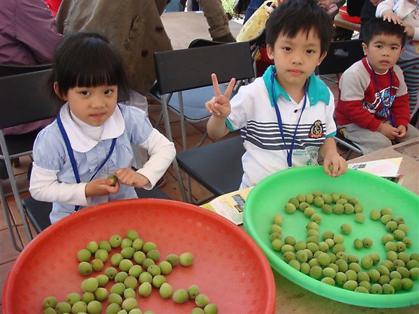 鶯歌陶瓷博物館醃春梅 004.jpg