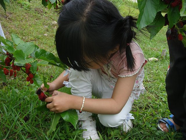 新竹櫻花谷露營 022.jpg