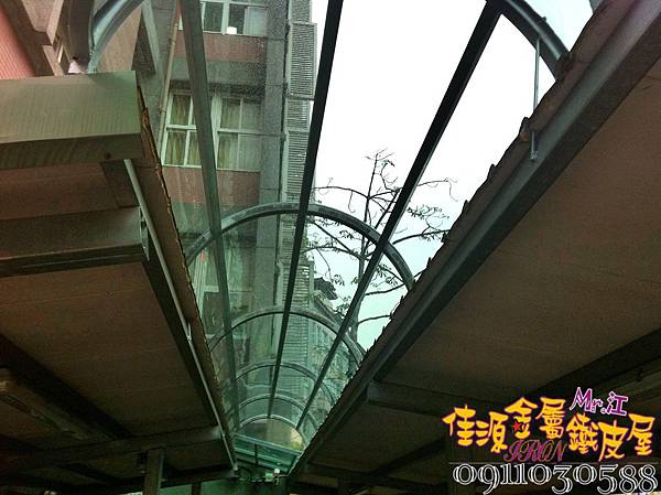 IMG_7010.JPG IMG_7010.JPG