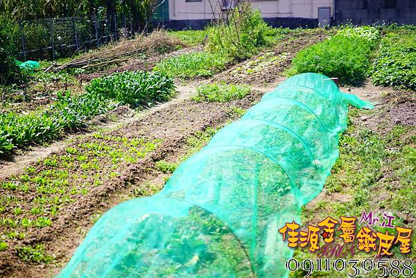 DSC01236.JPG DSC01236.JPG