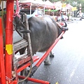 水牛拖車