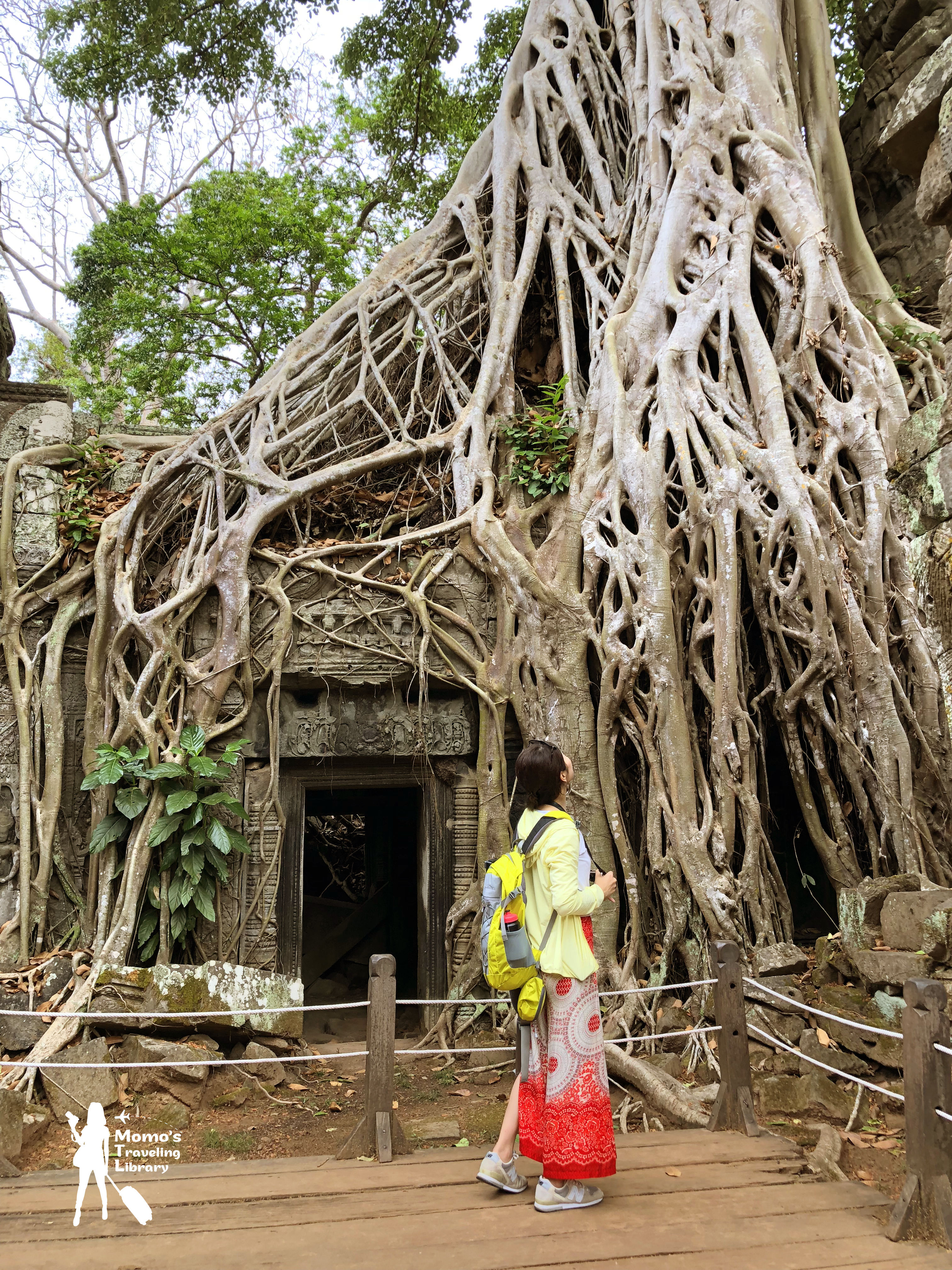 【Cambodia｜Ta Phrom】感動自然之母的母親寺廟