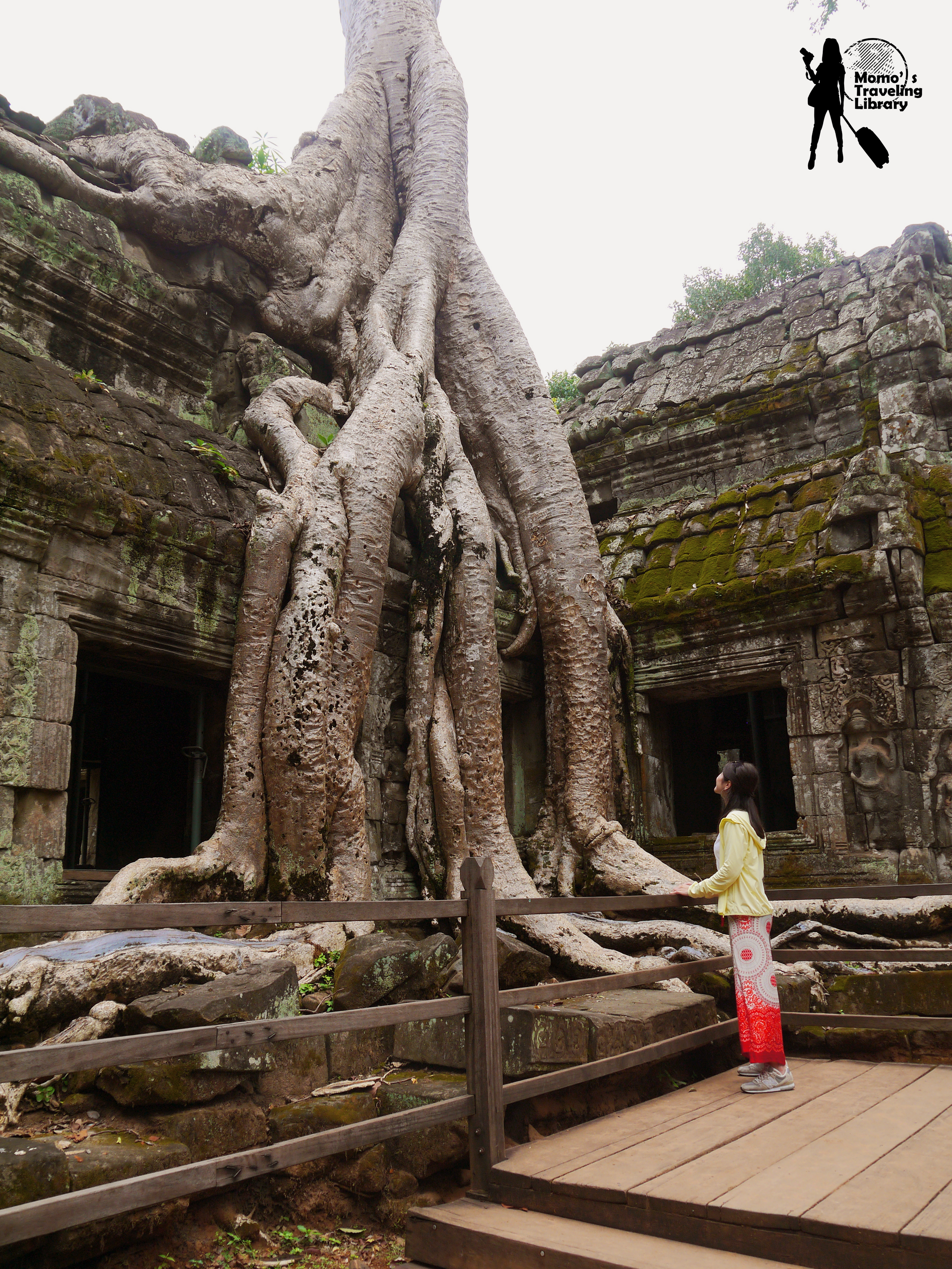 【Cambodia｜Ta Phrom】感動自然之母的母親寺廟