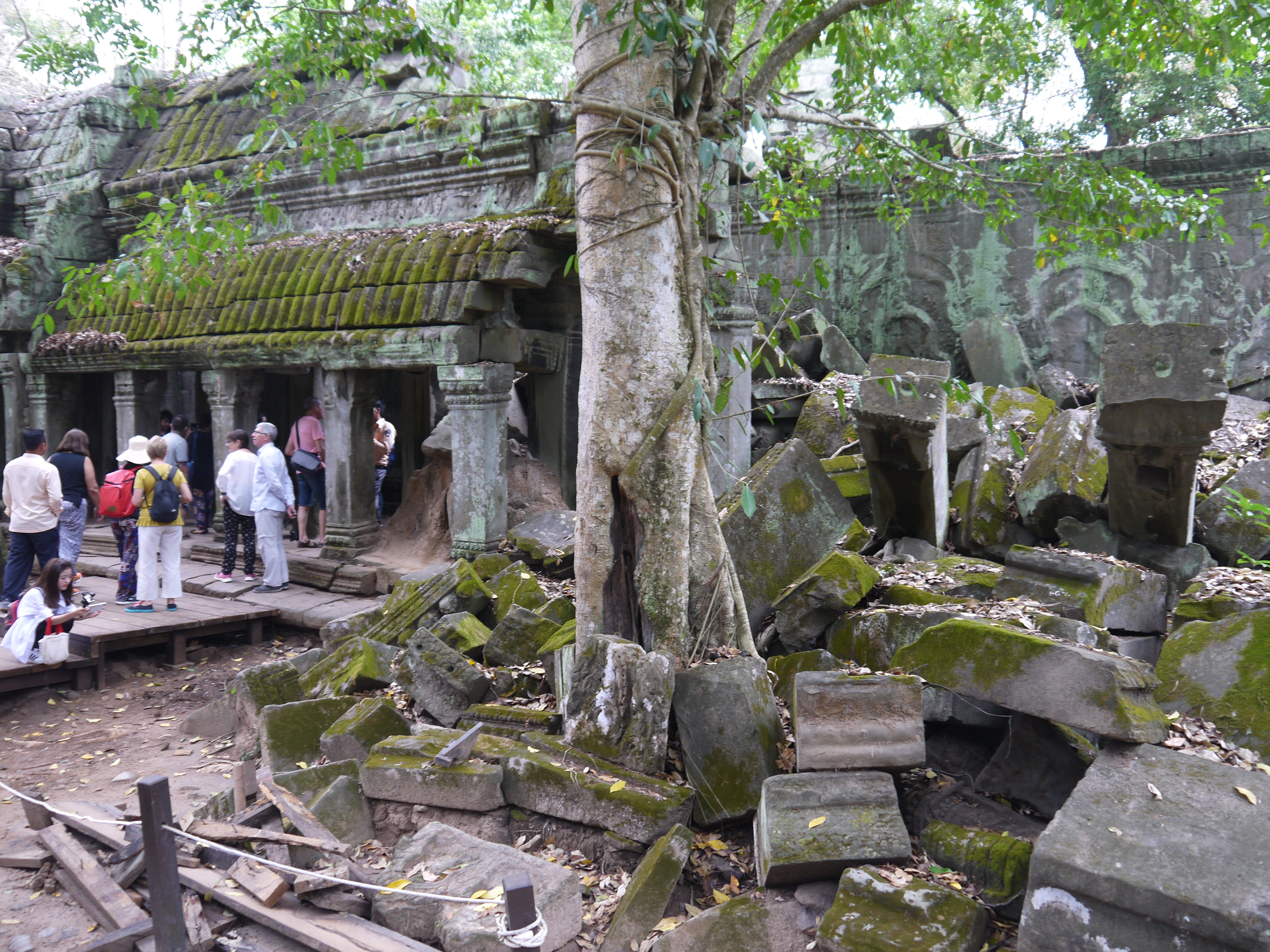 【Cambodia｜Ta Phrom】感動自然之母的母親寺廟