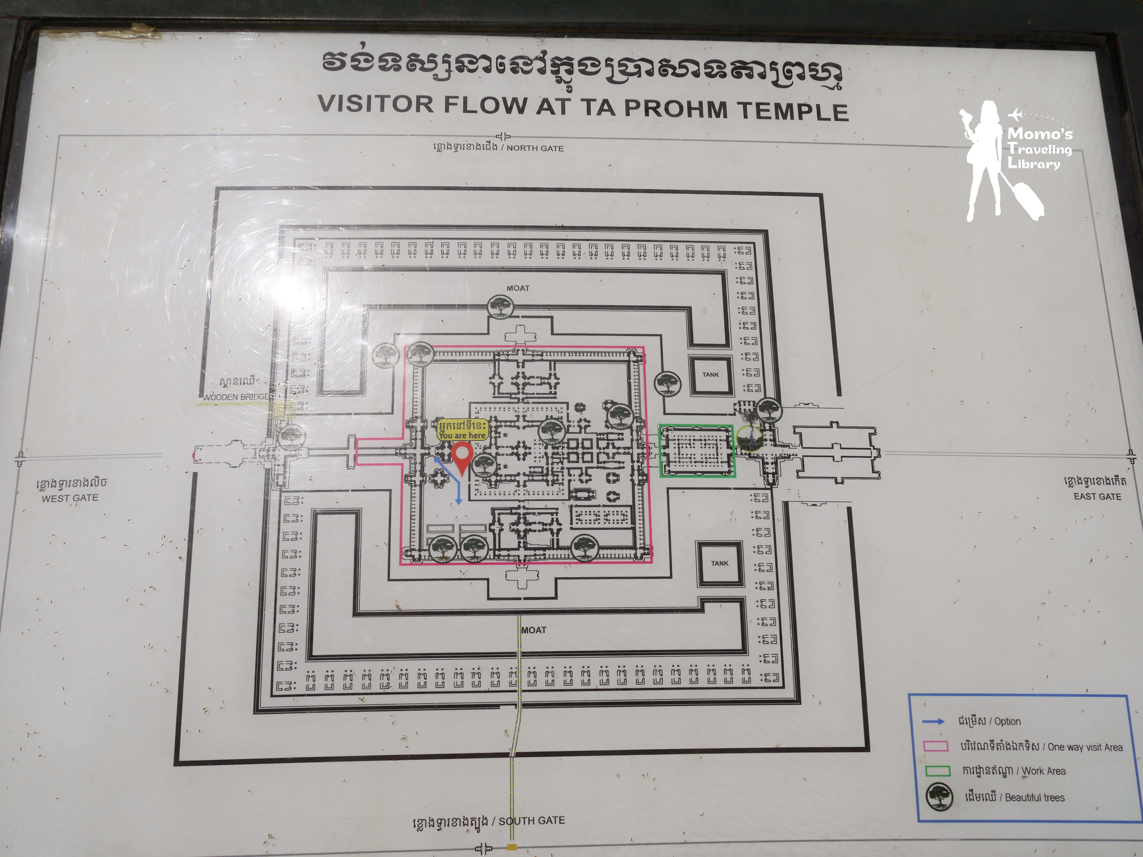 【Cambodia｜Ta Phrom】感動自然之母的母親寺廟