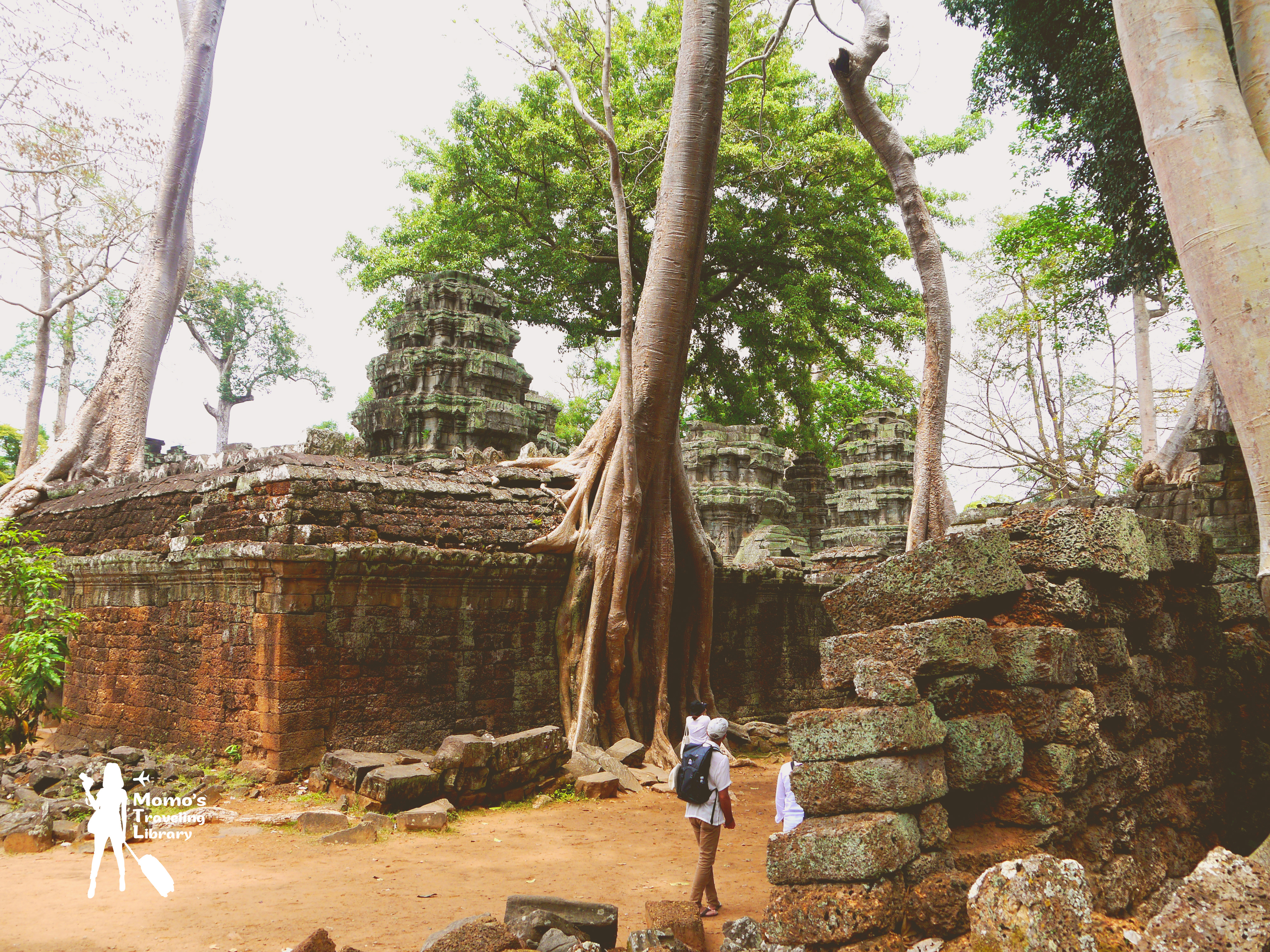 【Cambodia｜Ta Phrom】感動自然之母的母親寺廟