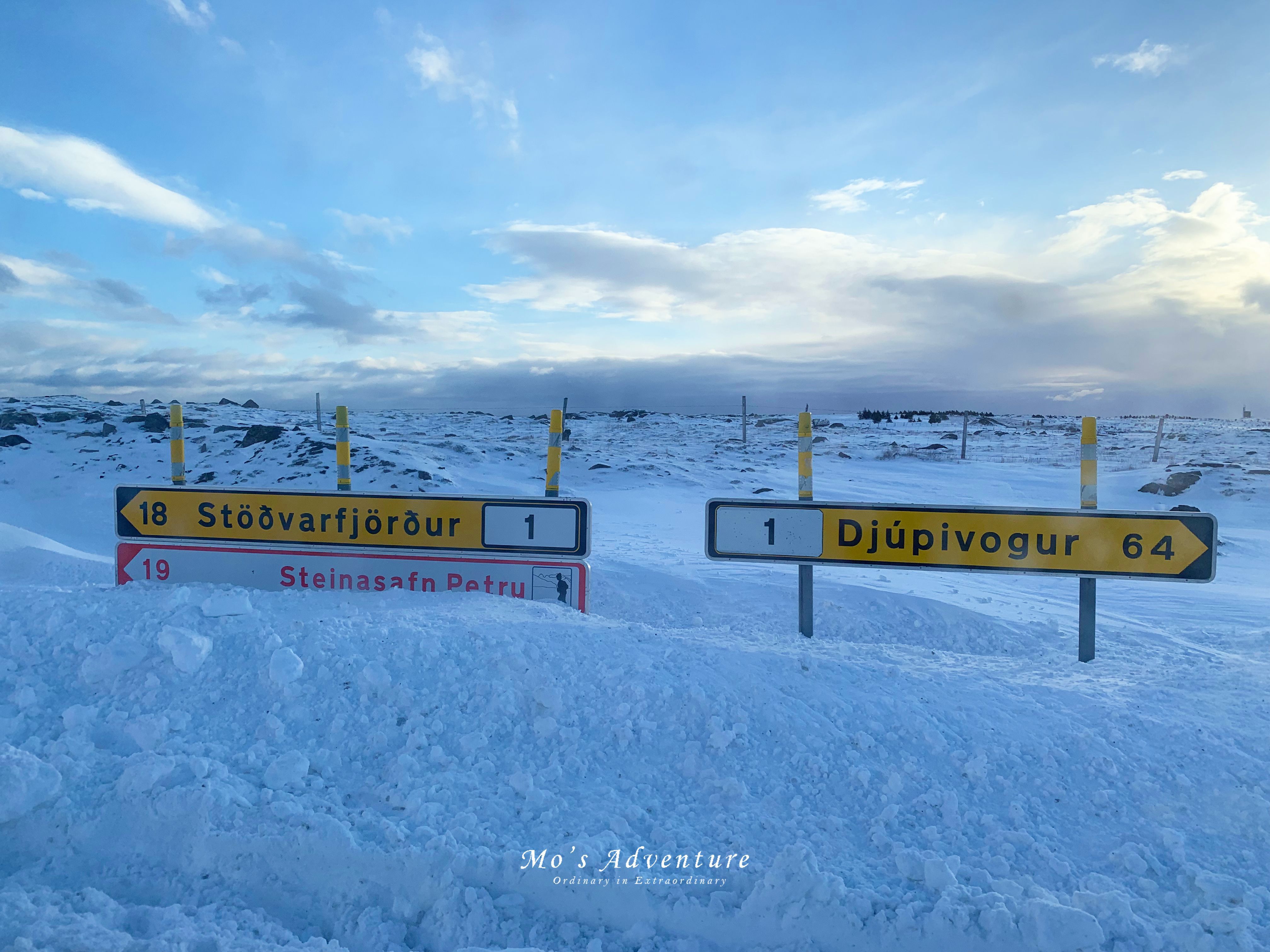 IMG_4303_compressed.jpg IMG_4303_compressed.jpg