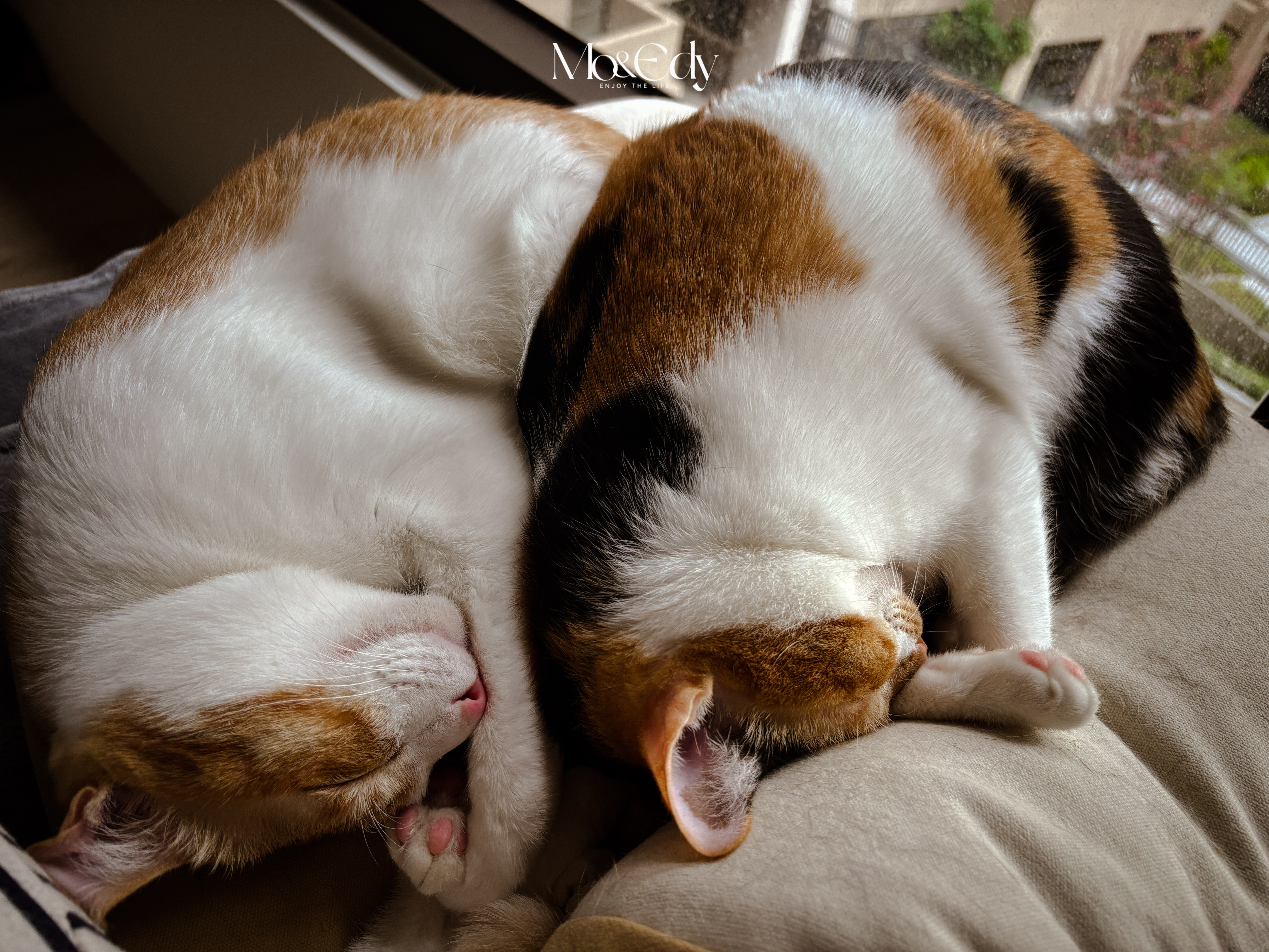 202407 部落格-2.jpg