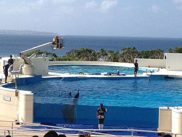 102.09OKA海洋博水族館