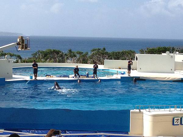 102.09OKA海洋博水族館