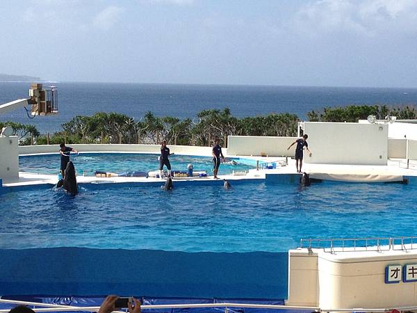 102.09OKA海洋博水族館