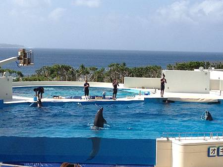 102.09OKA海洋博水族館