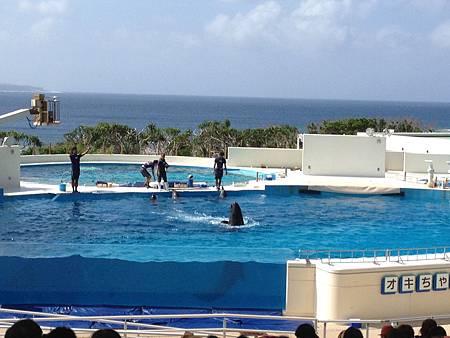 102.09OKA海洋博水族館