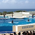 102.09OKA海洋博水族館