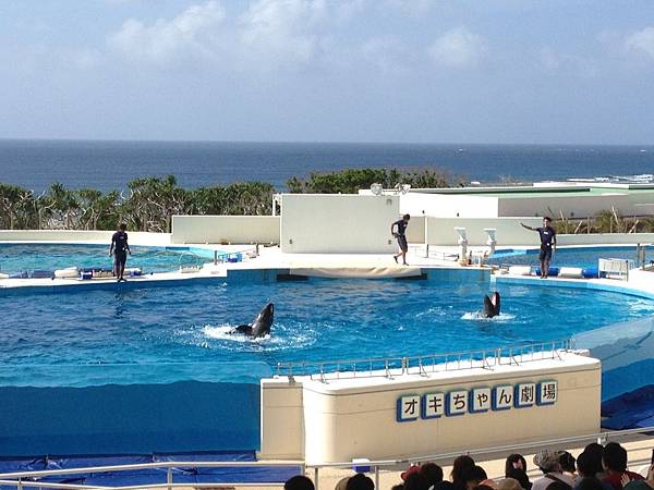 102.09OKA海洋博水族館