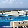 102.09OKA海洋博水族館