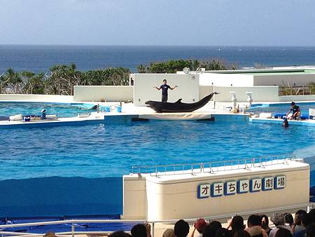 102.09OKA海洋博水族館