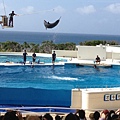 102.09OKA海洋博水族館