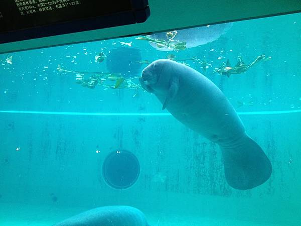 102.09OKA海洋博水族館