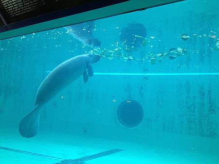 102.09OKA海洋博水族館