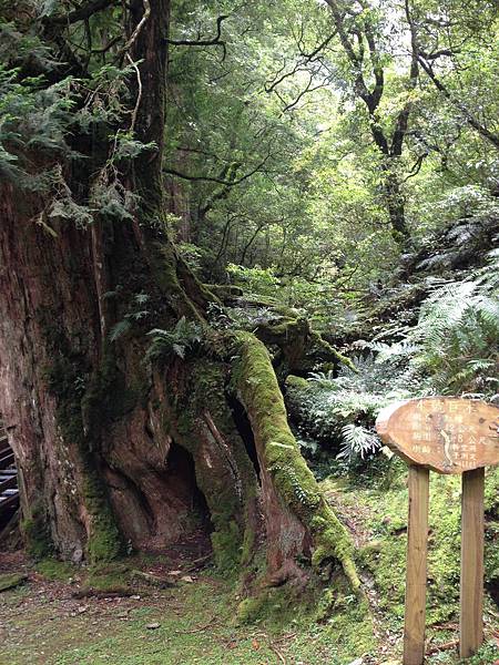 102.06桃園拉拉山