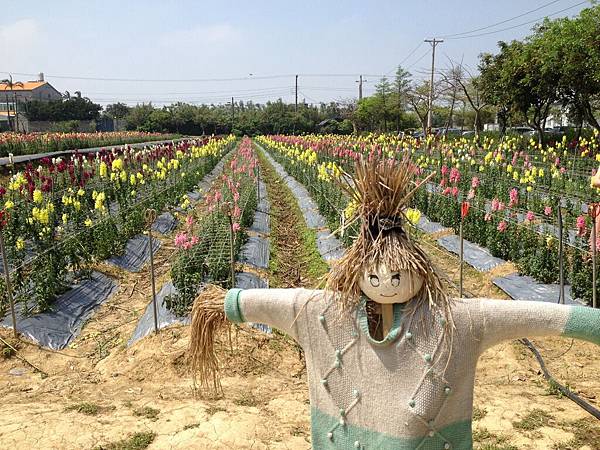 104.04桃園向陽農場