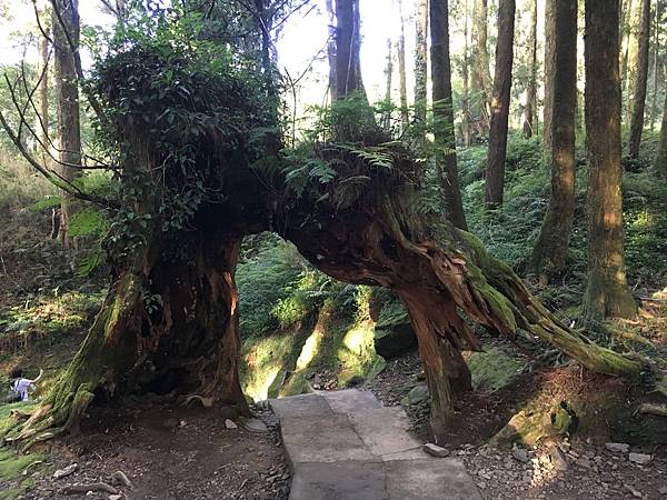 阿里山