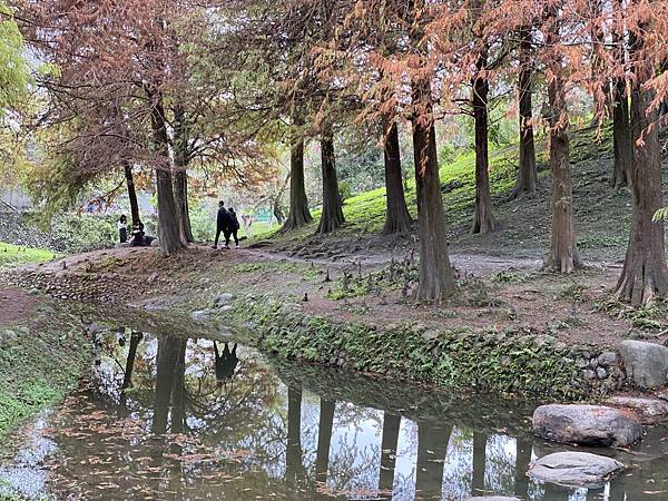 運動公園