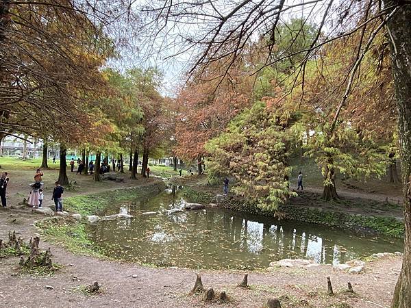 運動公園