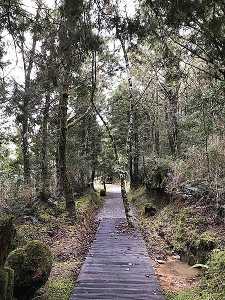 翠峰湖-環山步道