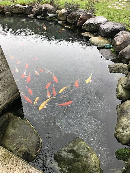 甲鳥園