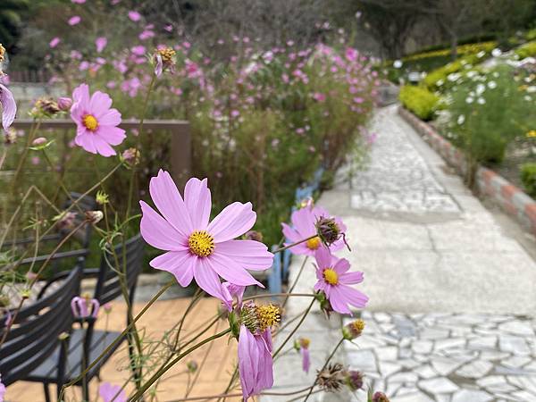 小瑞士花園