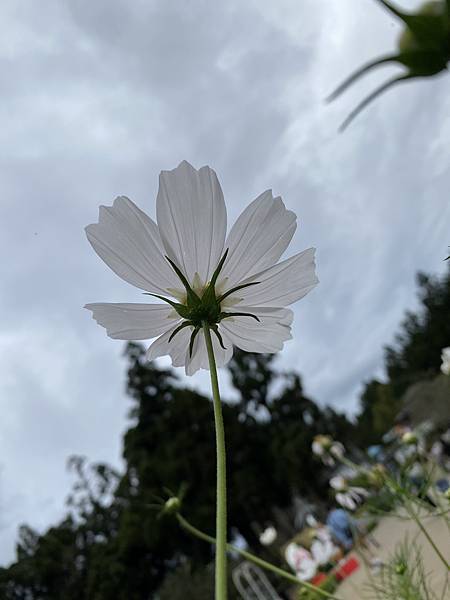 小瑞士花園