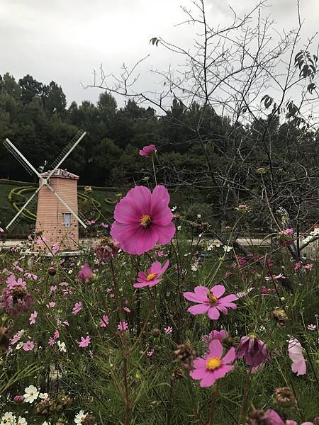 小瑞士花園