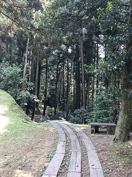 熊空茶園