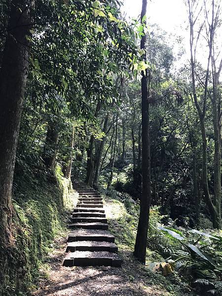 熊空茶園