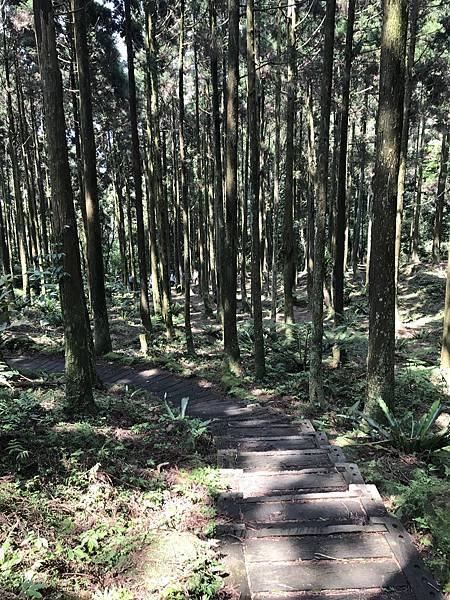 熊空茶園