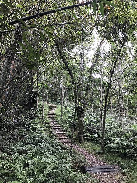 拳頭姆山