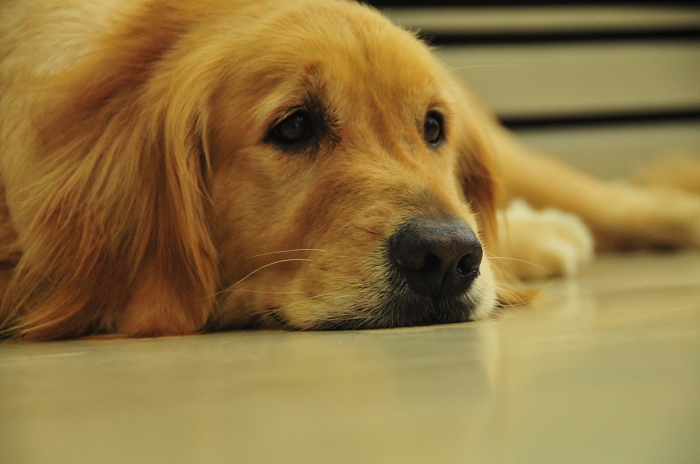DSC_4036.jpg DSC_4036.jpg