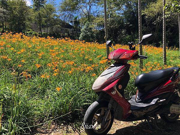 【一個人騎機車環島】用自己的方式繞臺灣一圈不是夢想！｜環島｜