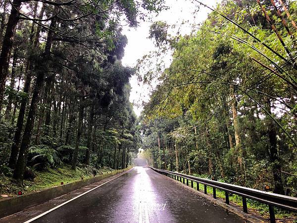 【一個人騎機車環島+小琉球】騎車去離島初體驗｜環島旅行｜臺南