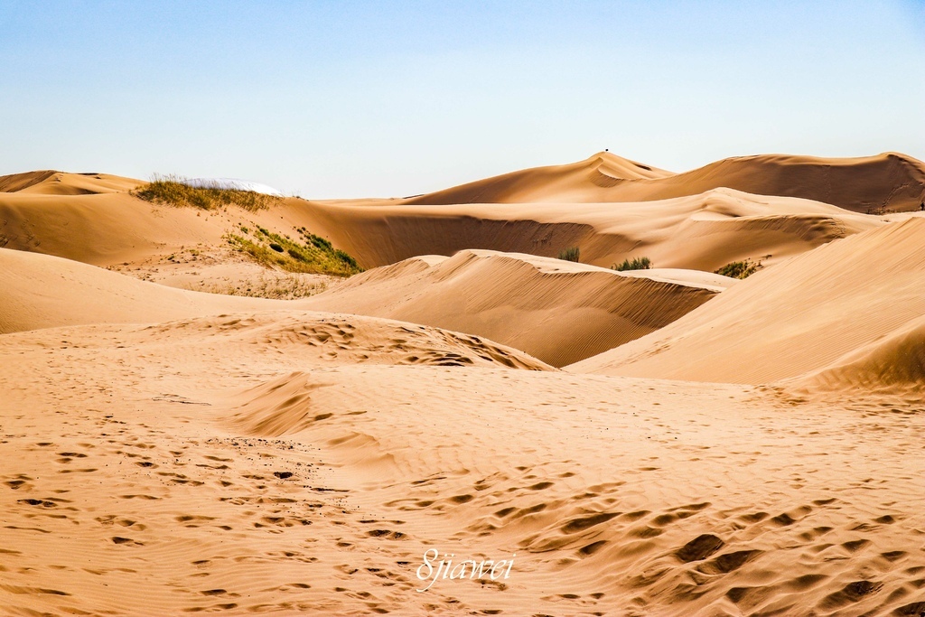 【內蒙古響沙灣景區】騎駱駝初體驗，沙漠風光配上遊樂園，來內蒙