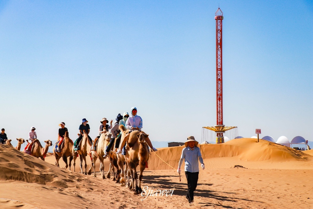 【三天三夜內蒙古遊(3)】 來去響沙灣騎駱駝！看沙漠！路邊嚕